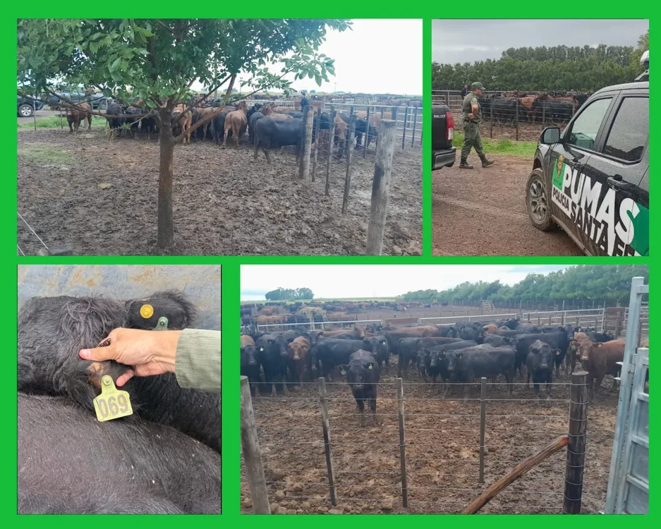 WhatsApp Image 2026-03-21 at 16.19.36