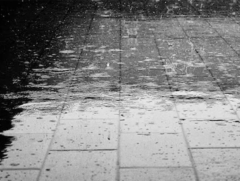 lluvia-1-768x581