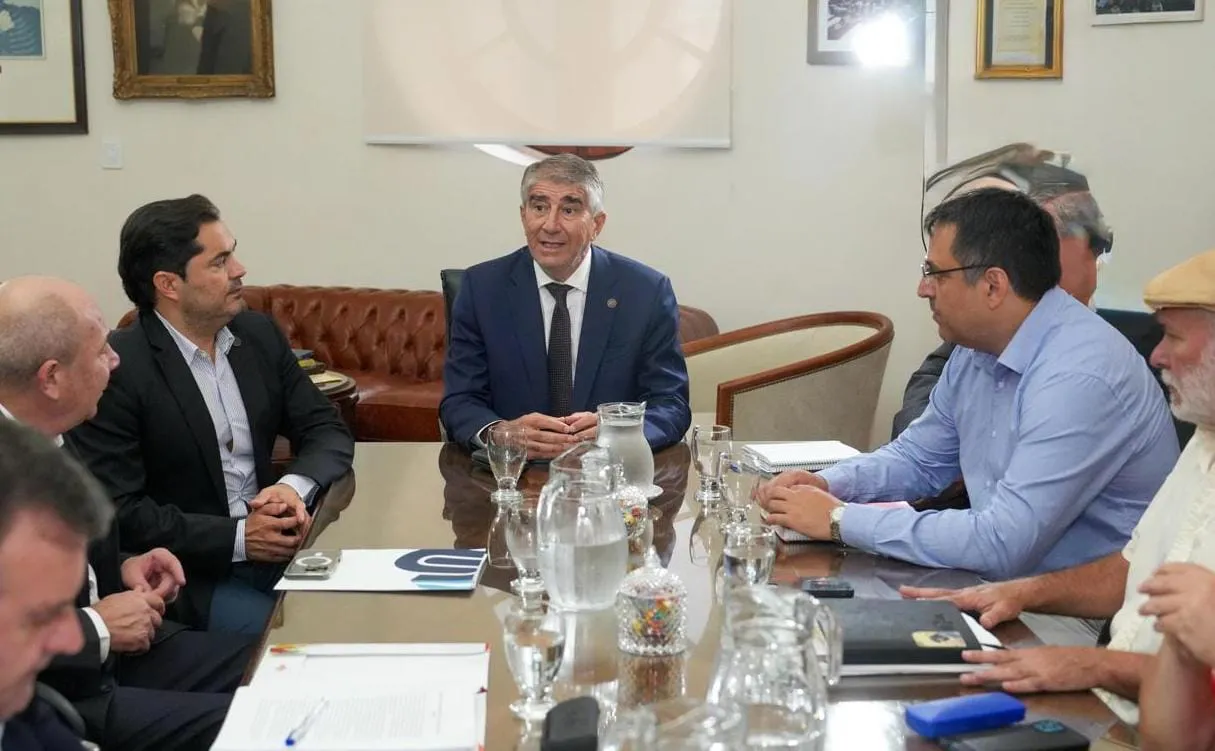 WhatsApp Image 2026-02-11 at 16.09.27