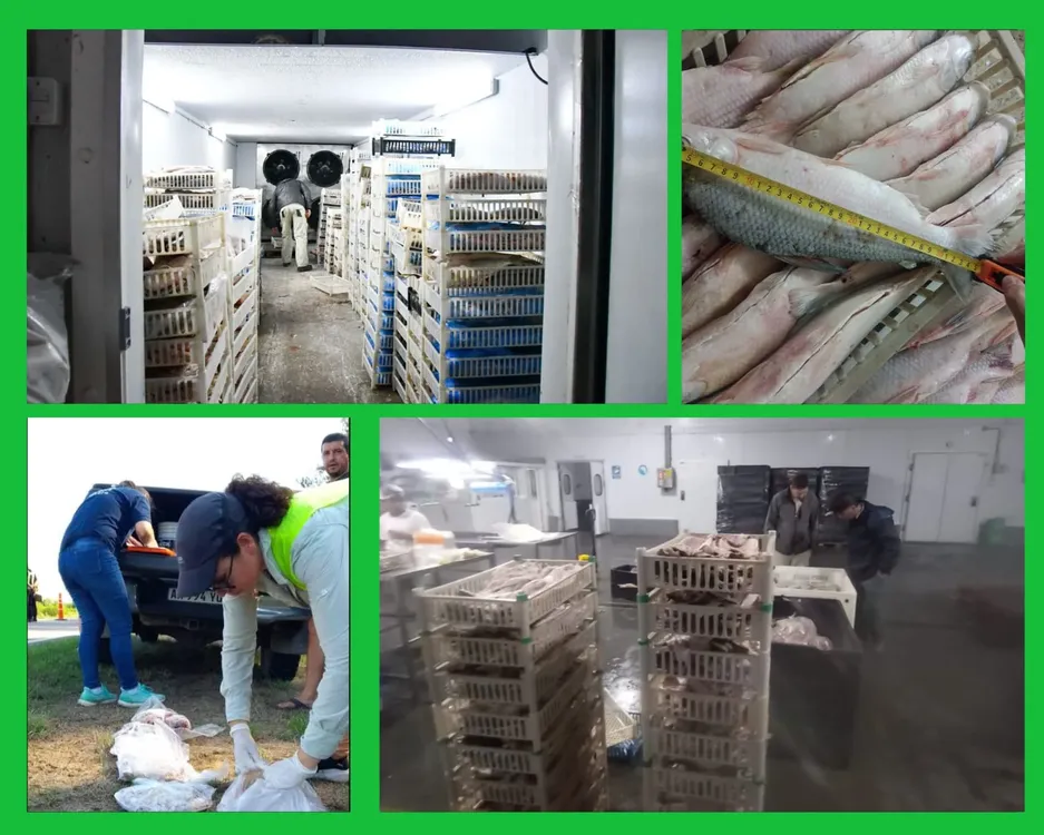 WhatsApp Image 2026-04-01 at 15.19.38