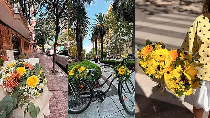 Flores-amarillas-son-el-fenomeno-viral-de-este-21-de-marzo