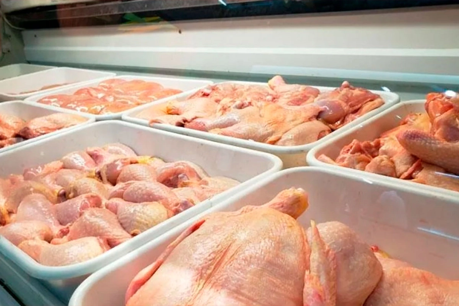 pollo-1