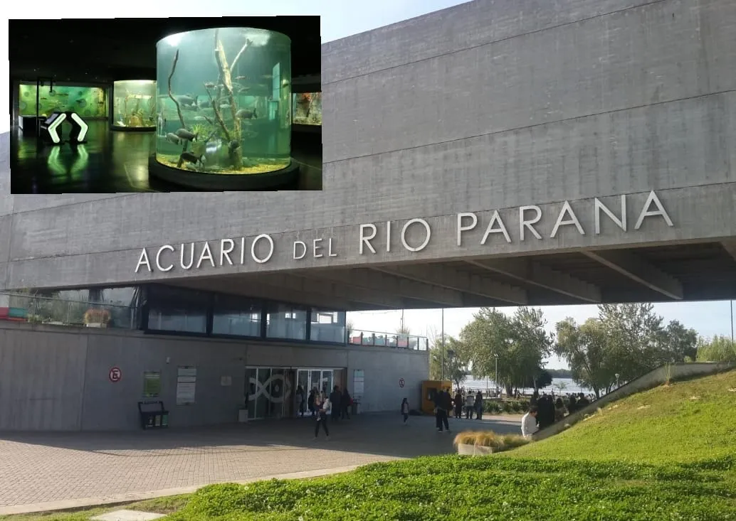 acuario