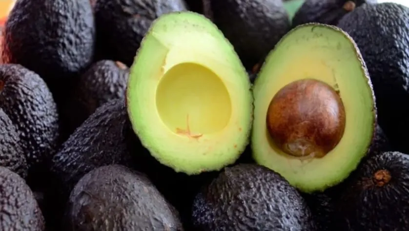 Palta